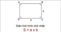 Công Thức Tính Diện Tích Hình Chữ Nhật Chính Xác, Chi Tiết