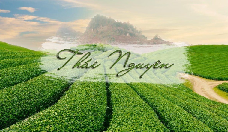 Xe từ sân bay nội bài về thái nguyên